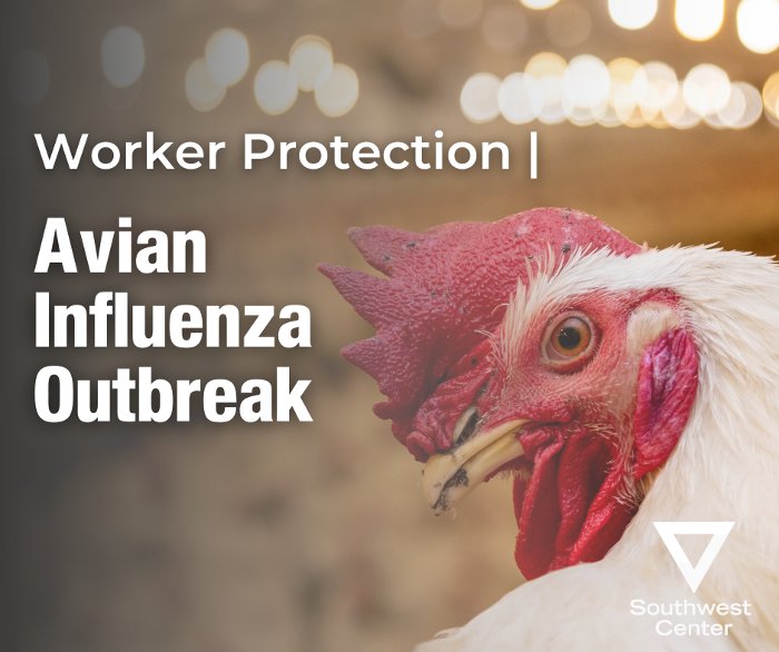 Monthly Safety Blasts Avian Flu Update The University of Texas at